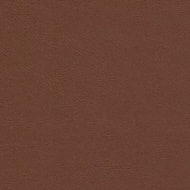 Encore PVC - Cedar
