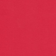 Encore PVC - Flame