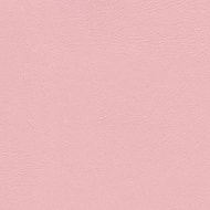 Encore PVC - Mink