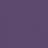 Encore PVC - Regal