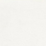 Encore PVC - Snow